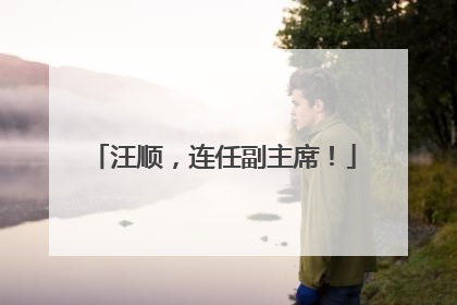 汪顺，连任副主席！