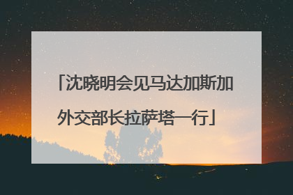 沈晓明会见马达加斯加外交部长拉萨塔一行