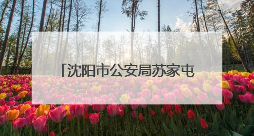 沈阳市公安局苏家屯分局联合辽宁省图书馆举办反诈小课堂