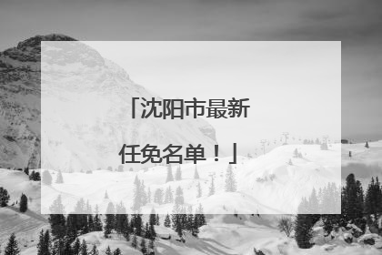 沈阳市最新任免名单！