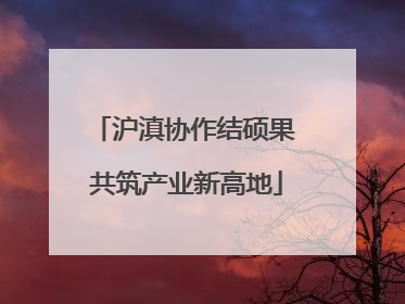 沪滇协作结硕果 共筑产业新高地