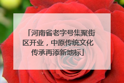 河南省老字号集聚街区开业，中原传统文化传承再添新地标