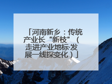 河南新乡：传统产业长“新枝”（走进产业地标·发展一线探变化）