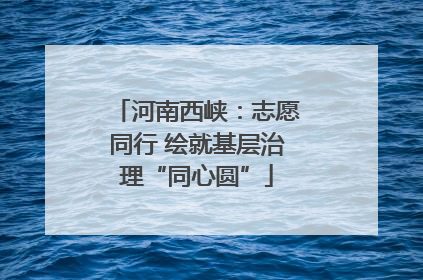 河南西峡：志愿同行 绘就基层治理“同心圆”