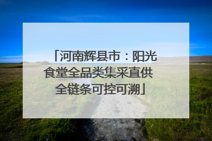 河南辉县市：阳光食堂全品类集采直供 全链条可控可溯