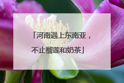 河南遇上东南亚，不止榴莲和奶茶