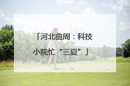 河北曲周：科技小院忙“三夏”