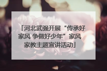 河北武强开展“传承好家风 争做好少年”家风家教主题宣讲活动
