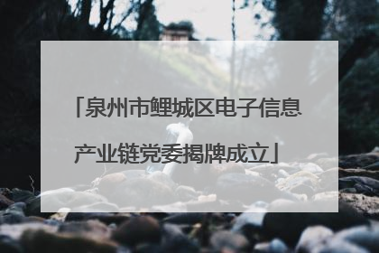 泉州市鲤城区电子信息产业链党委揭牌成立