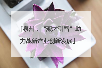 泉州：“聚才引智”助力战新产业创新发展