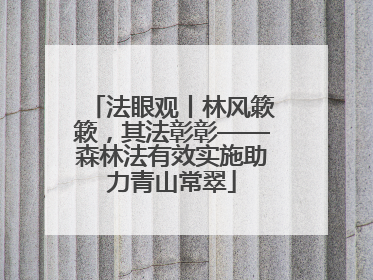 法眼观丨林风簌簌，其法彰彰——森林法有效实施助力青山常翠