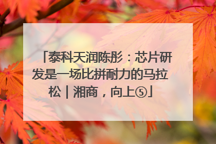 泰科天润陈彤：芯片研发是一场比拼耐力的马拉松｜湘商，向上⑤