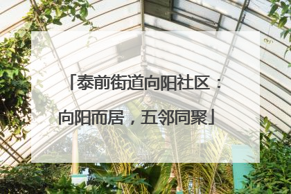 泰前街道向阳社区：向阳而居，五邻同聚