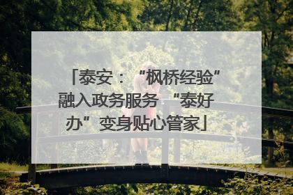 泰安：“枫桥经验”融入政务服务 “泰好办”变身贴心管家