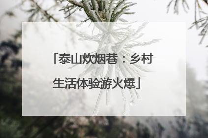 泰山炊烟巷：乡村生活体验游火爆