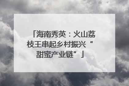 海南秀英：火山荔枝王串起乡村振兴“甜蜜产业链”