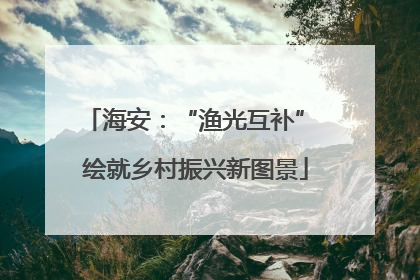 海安：“渔光互补” 绘就乡村振兴新图景