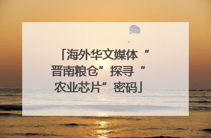 海外华文媒体“晋南粮仓”探寻“农业芯片”密码