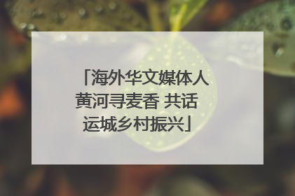 海外华文媒体人黄河寻麦香 共话运城乡村振兴