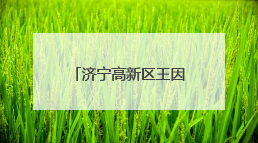 济宁高新区王因街道开展“美德信用”志愿服务