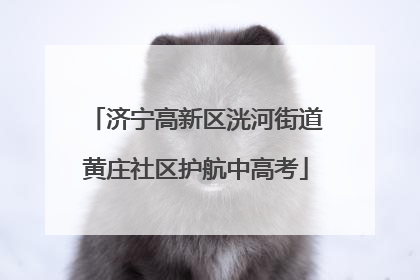 济宁高新区洸河街道黄庄社区护航中高考