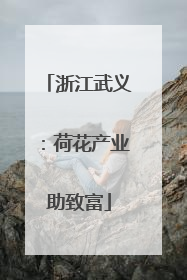 浙江武义：荷花产业助致富