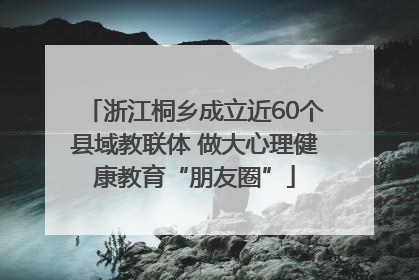 浙江桐乡成立近60个县域教联体 做大心理健康教育“朋友圈”