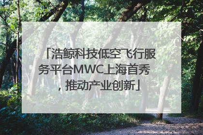 浩鲸科技低空飞行服务平台MWC上海首秀，推动产业创新