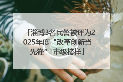 淄博3名民警被评为2025年度“改革创新当先锋” 市级榜样