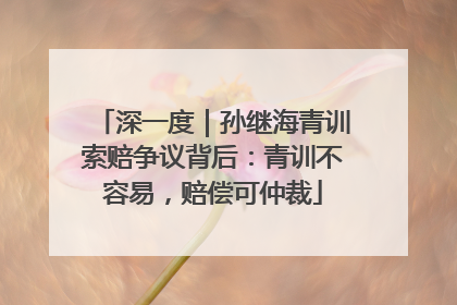 深一度｜孙继海青训索赔争议背后：青训不容易，赔偿可仲裁