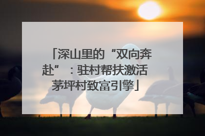 深山里的“双向奔赴”：驻村帮扶激活茅坪村致富引擎