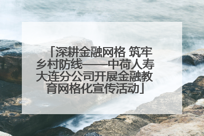 深耕金融网格 筑牢乡村防线——中荷人寿大连分公司开展金融教育网格化宣传活动