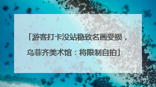 游客打卡没站稳致名画受损，乌菲齐美术馆：将限制自拍