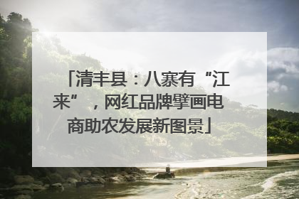 清丰县：八寨有“江来”，网红品牌擘画电商助农发展新图景