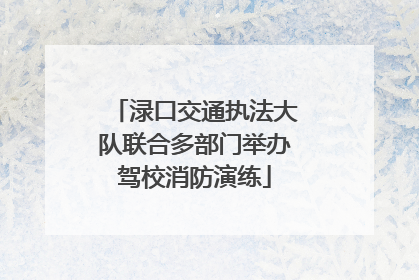 渌口交通执法大队联合多部门举办驾校消防演练