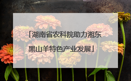 湖南省农科院助力湘东黑山羊特色产业发展
