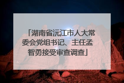 湖南省沅江市人大常委会党组书记、主任孟智勇接受审查调查