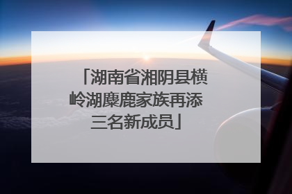 湖南省湘阴县横岭湖麋鹿家族再添三名新成员