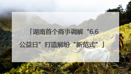 湖南首个商事调解“6.6 公益日”打造解纷“新范式”