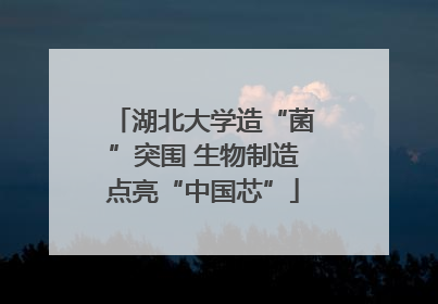湖北大学造“菌”突围 生物制造点亮“中国芯”