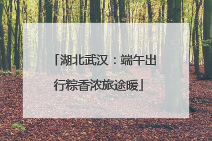 湖北武汉：端午出行粽香浓旅途暖