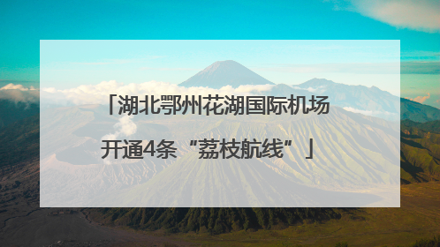湖北鄂州花湖国际机场开通4条“荔枝航线”