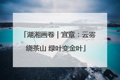 湖湘画卷｜宜章：云雾绕茶山 绿叶变金叶