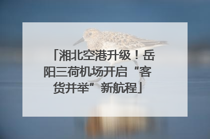 湘北空港升级！岳阳三荷机场开启“客货并举”新航程