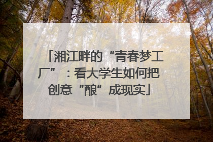 湘江畔的“青春梦工厂”：看大学生如何把创意“酿”成现实