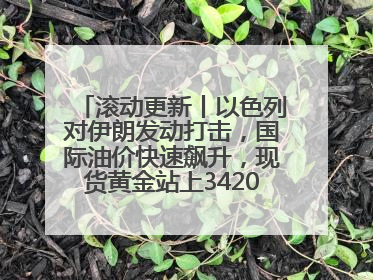 滚动更新丨以色列对伊朗发动打击，国际油价快速飙升，现货黄金站上3420美元/盎司