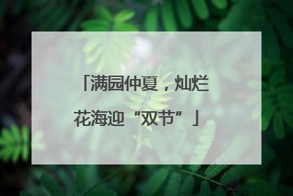 满园仲夏，灿烂花海迎“双节”