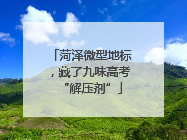菏泽微型地标，藏了九味高考“解压剂”