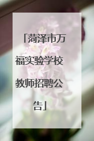 菏泽市万福实验学校教师招聘公告