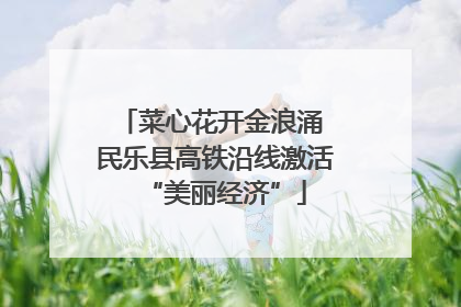 菜心花开金浪涌 民乐县高铁沿线激活“美丽经济”